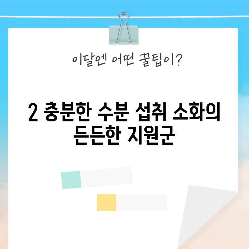 2. 충분한 수분 섭취: 소화의 든든한 지원군