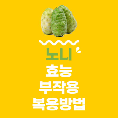  노니 효능 부작용 노니 분말 복용법