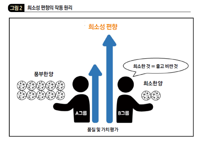 희소성편향의작동원리