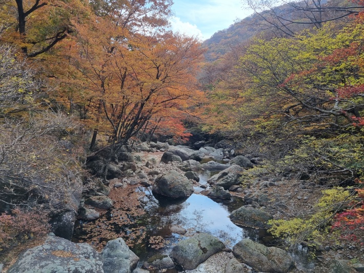 삼홍교-계곡