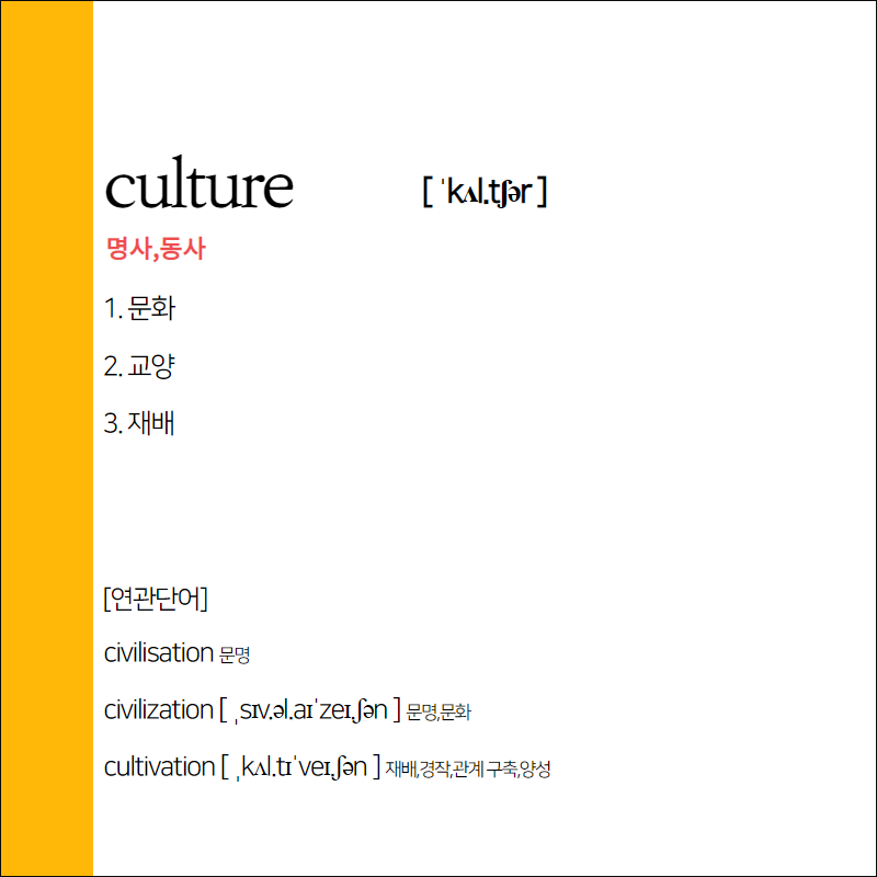 culture 뜻