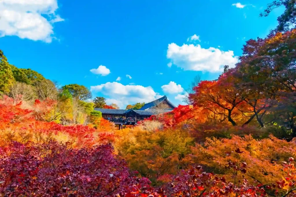 도후쿠지