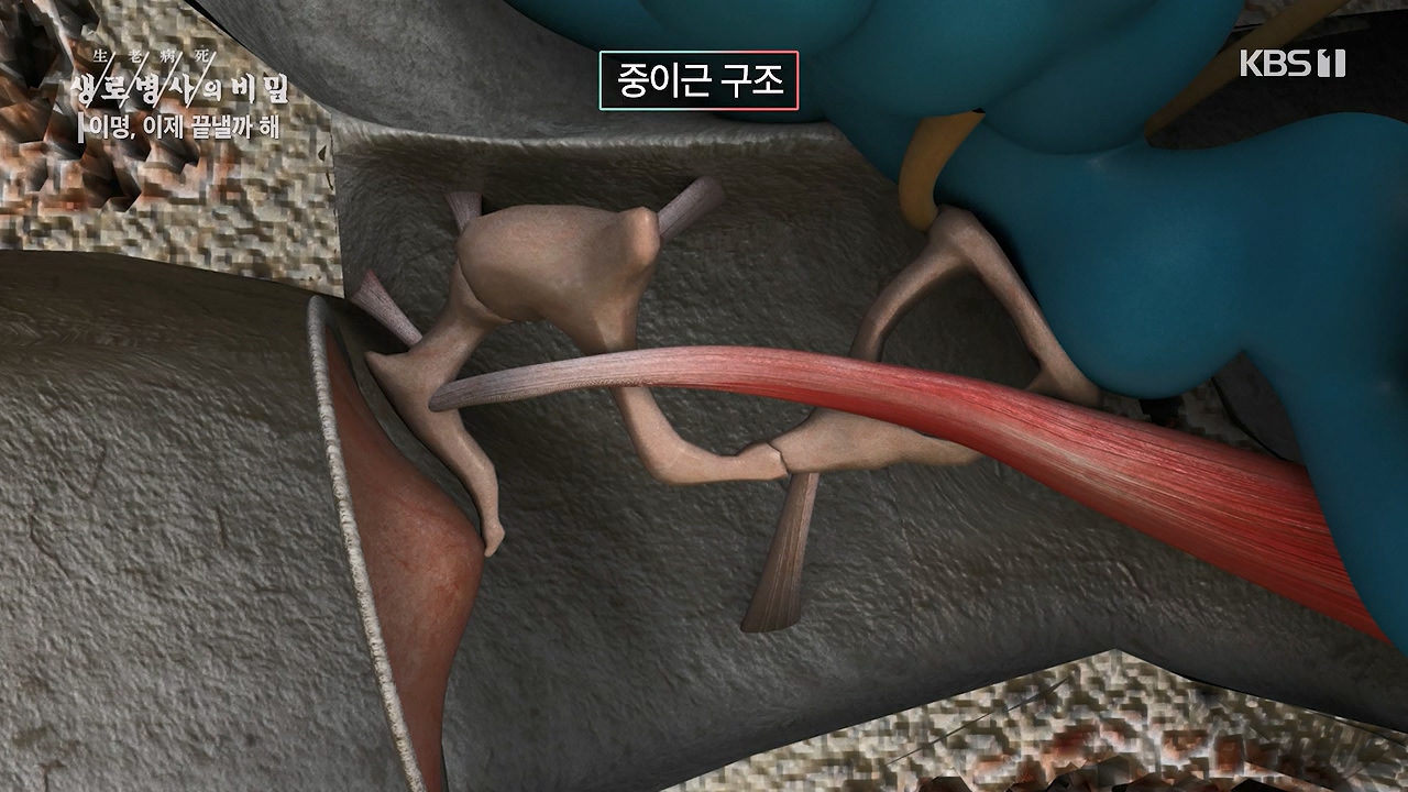 생로병사의 비밀.E883.230914p-NEXT.mp4_20230914_204619.460.jpg