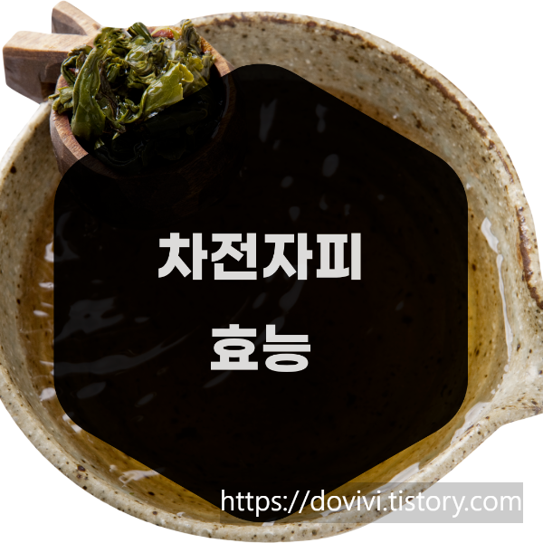  차전자피 효능 및 기준 규격 4분 확인