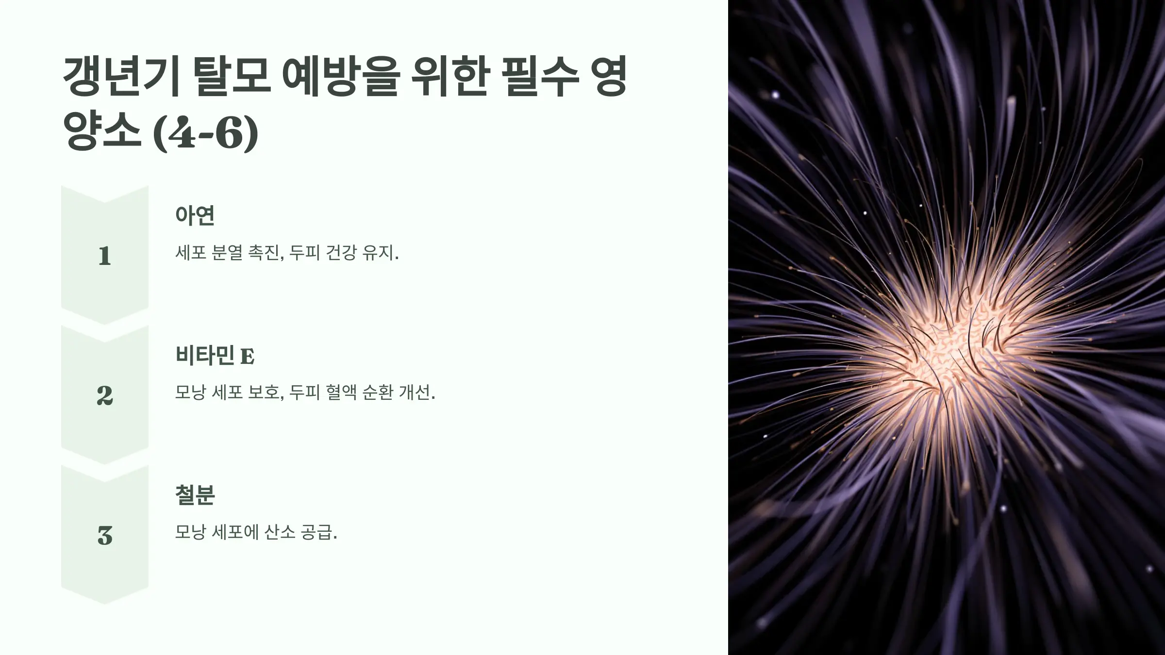 갱년기 여성 탈모, 이 영양소만 챙겨도 달라집니다 - 전문의 10인의 필수 영양소 추천