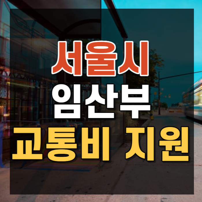 서울맘케어&#44; 서울시 임산부 교통비 지원 신청 (70만원)