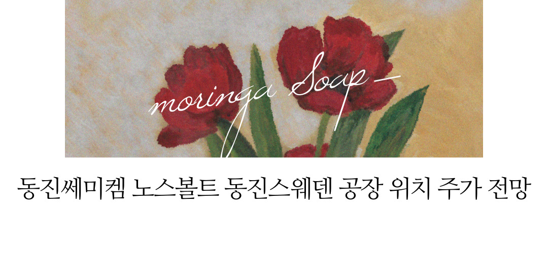  반도체 및 2차전지 배터리 소부장 기업 동진쎄미켐 주가 노스볼트 관련주 주식 전망 (포토레지스터 EUV PR) 동진스웨덴 사업장 위치 노스볼트 공장 위치
