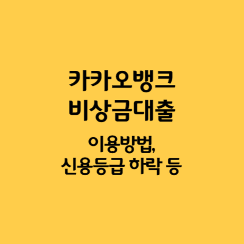 카카오뱅크 비상금대출