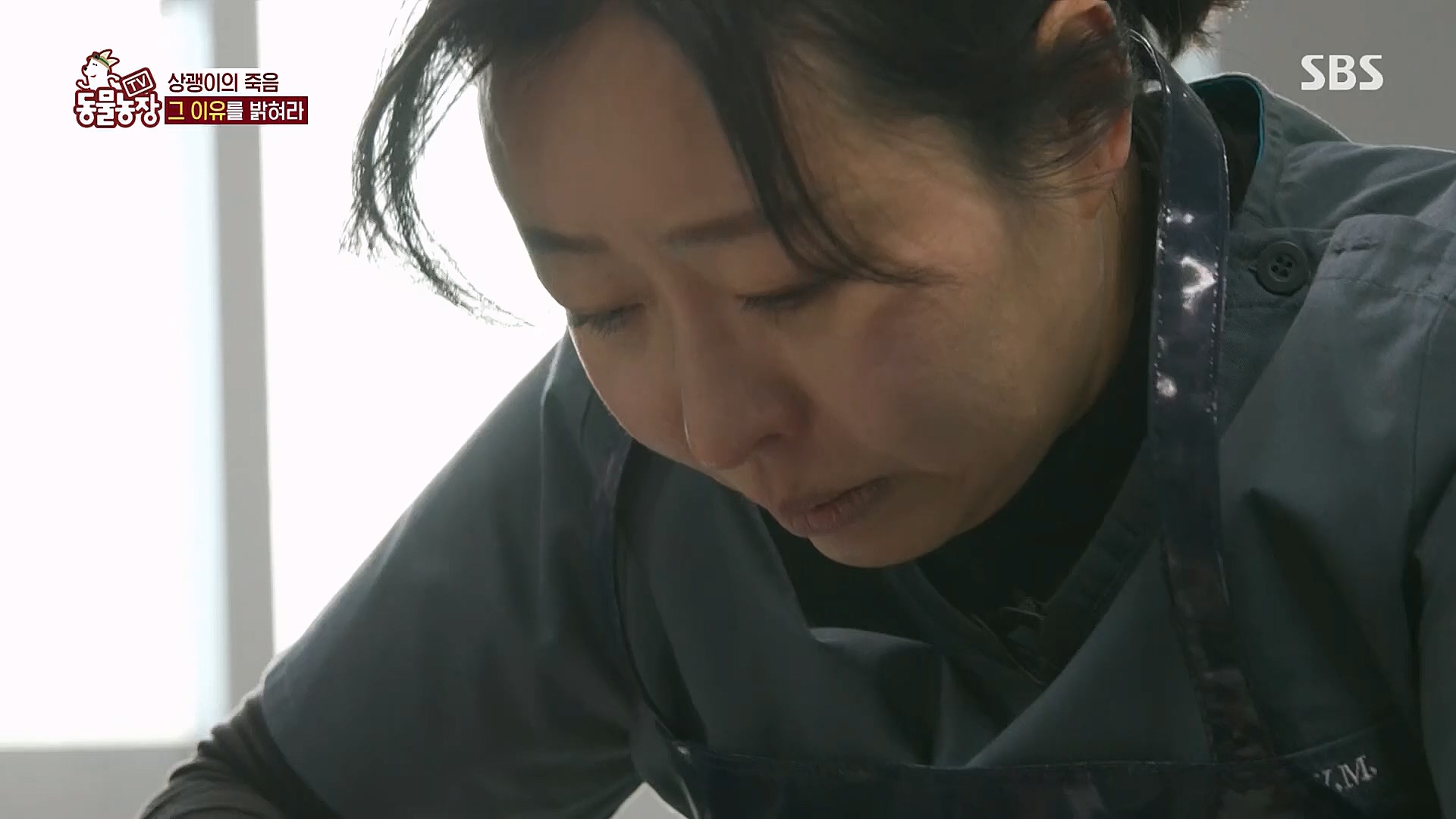 TV 동물농장.E1111.230312p.H264-F1RST.mp4_20230312_180006.945.jpg