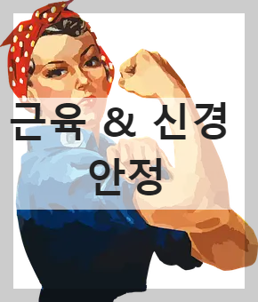 근육 표현