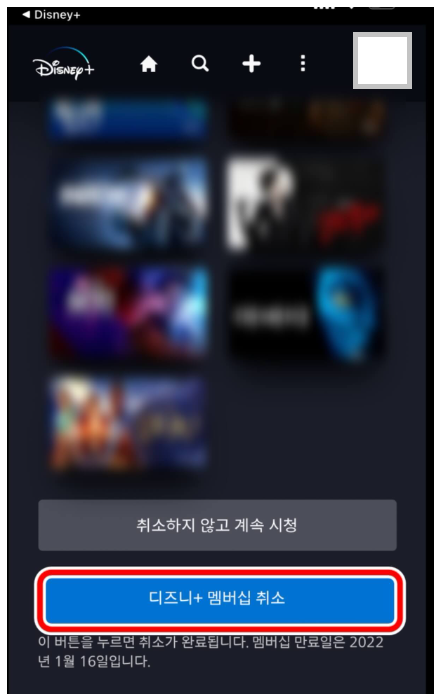 디즈니+ 멤버십 취소 버튼 클릭