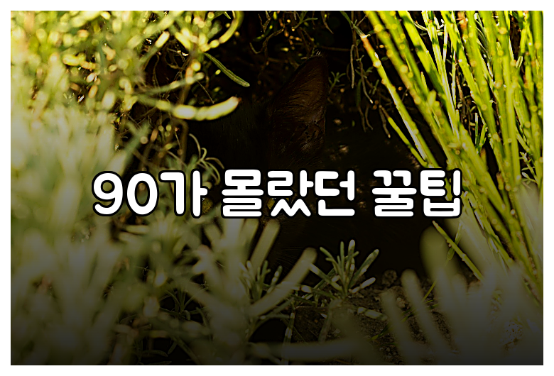 90가 몰랐던 꿀팁