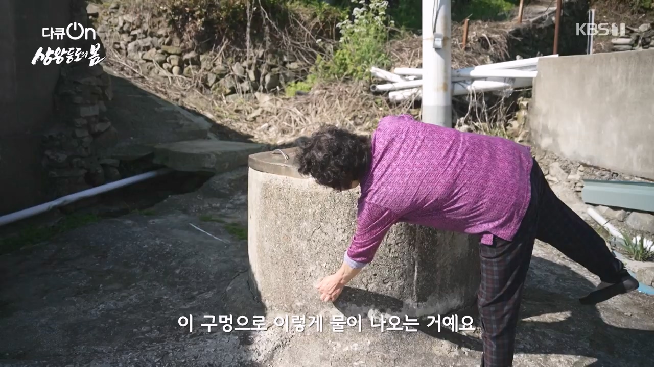 다큐 온.E249.240526p-NEXT.mp4_20240526_152341.549.jpg