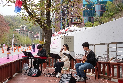 가평 벚꽃명소 에덴벚꽃길 벚꽃축제