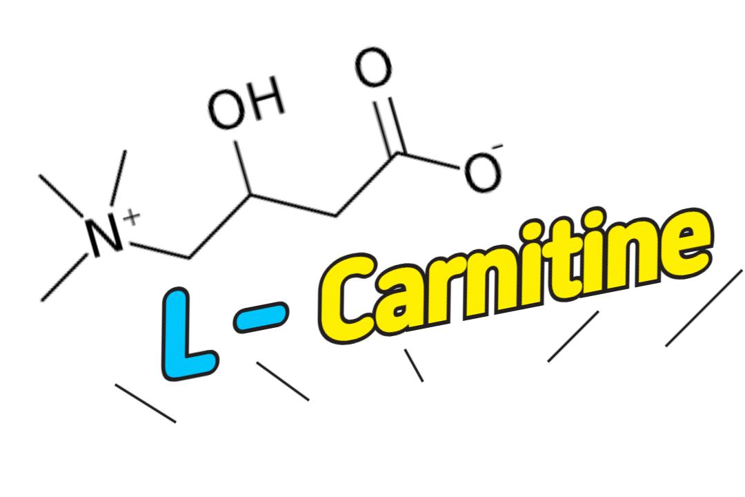 L-Carnitine