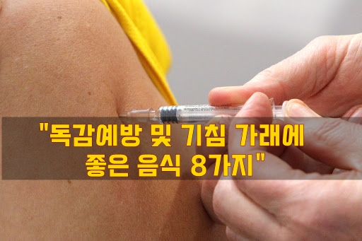  "독감예방 및 기침 가래에 좋은 음식 8가지"