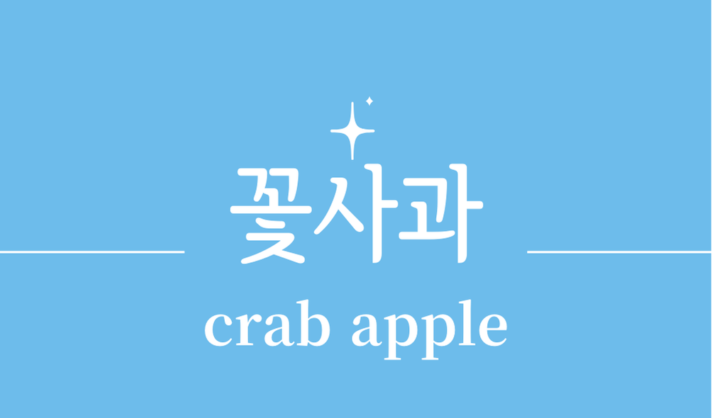 '꽃사과(crab apple)'