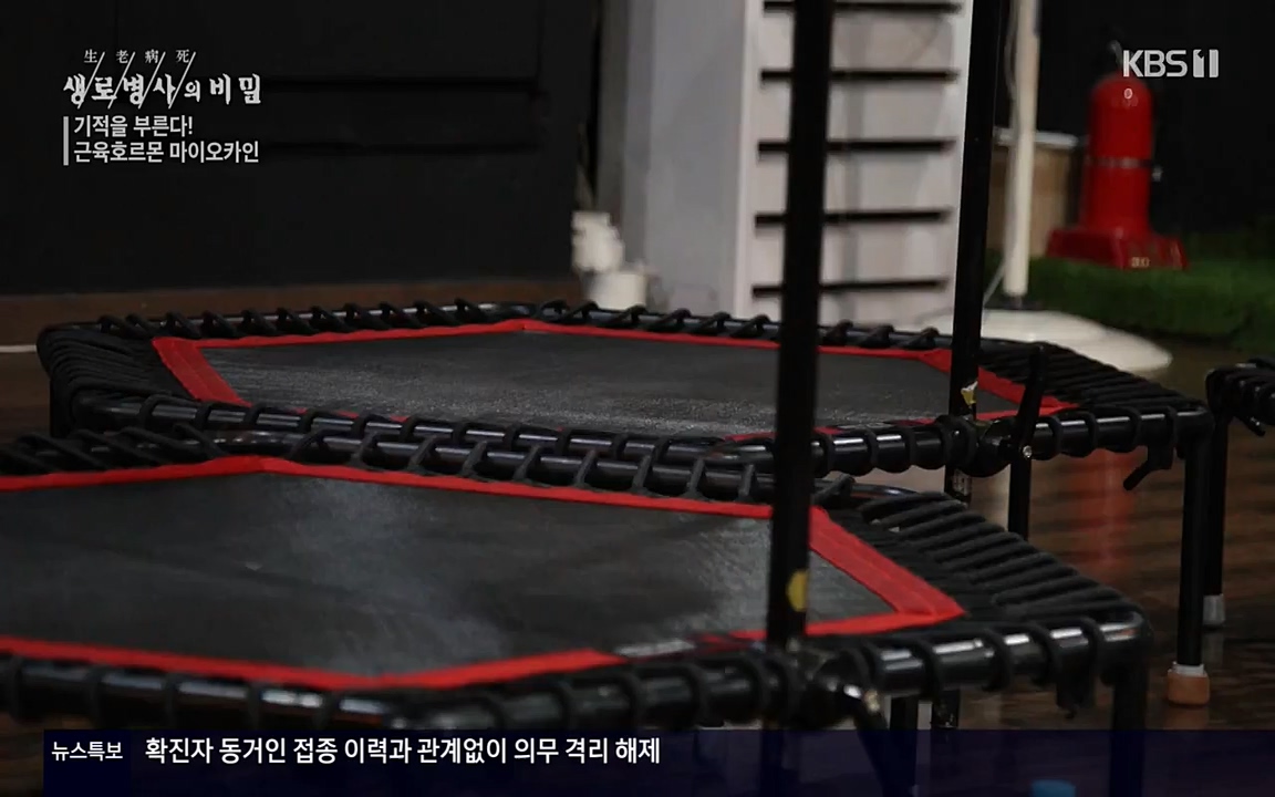 생로병사의 비밀.E816.220331p-NEXT.mp4_20220331_185206.327.jpg