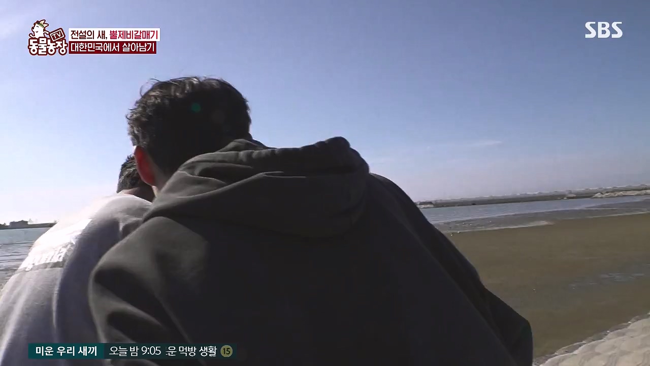TV 동물농장.E1181.240722p-NEXT.mp4_20240721_165559.620.jpg