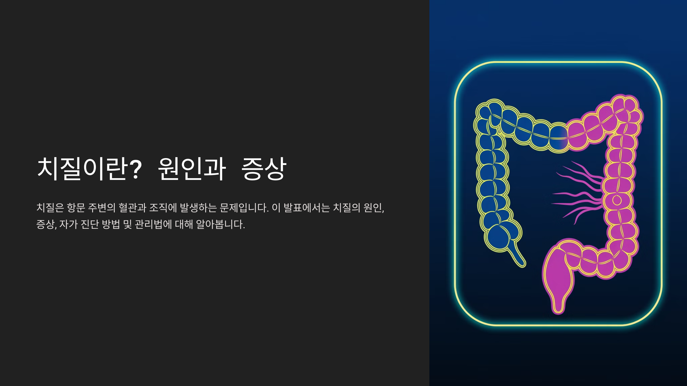 치질이란? 원인과 증상