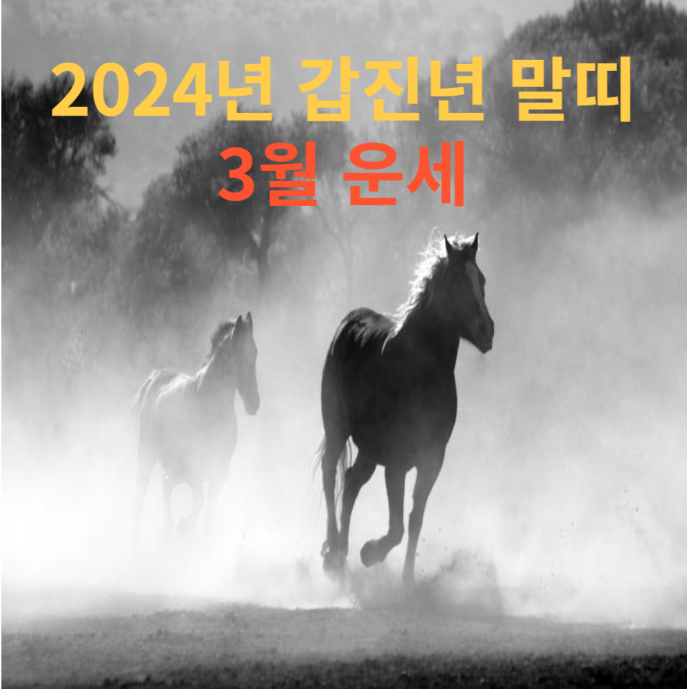 2024년 갑진년 3월 말띠 운세1