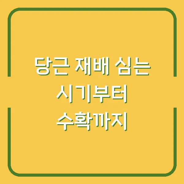 당근 재배 심는 시기부터 수확까지