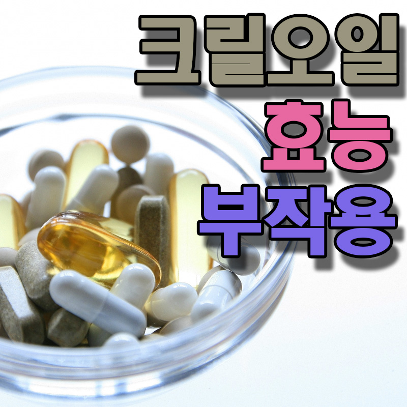  크릴오일 효능 부작용