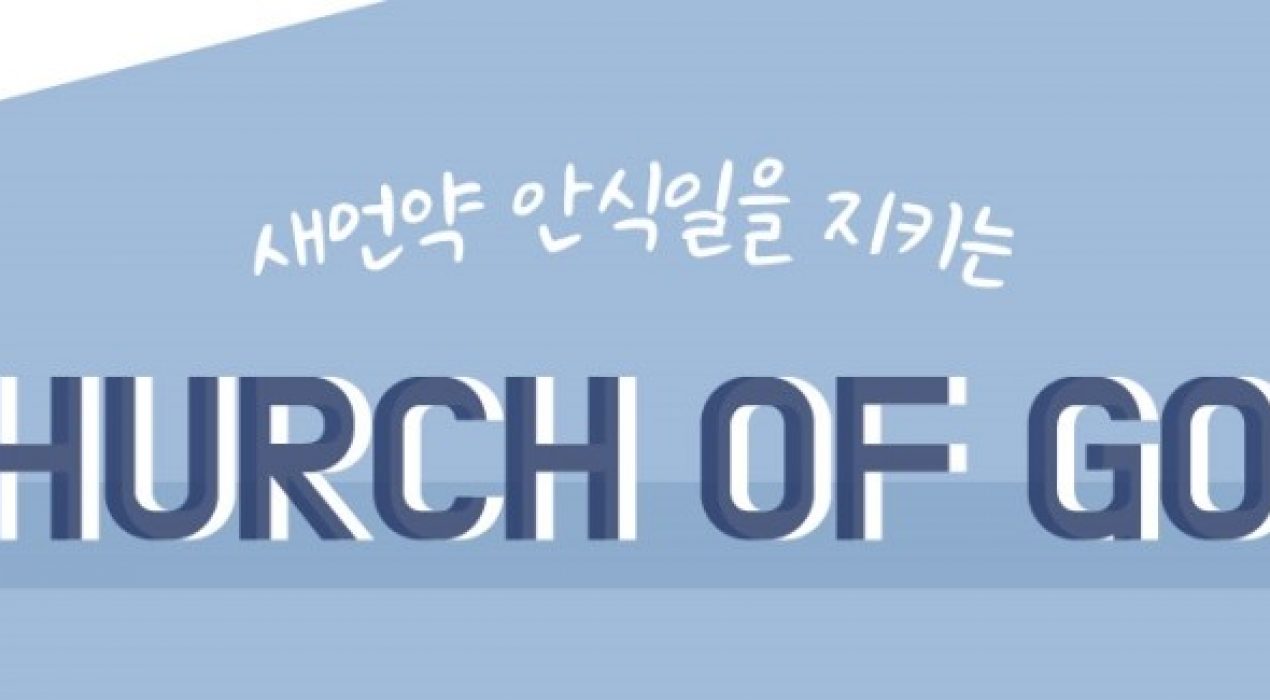 법인백성 이미지