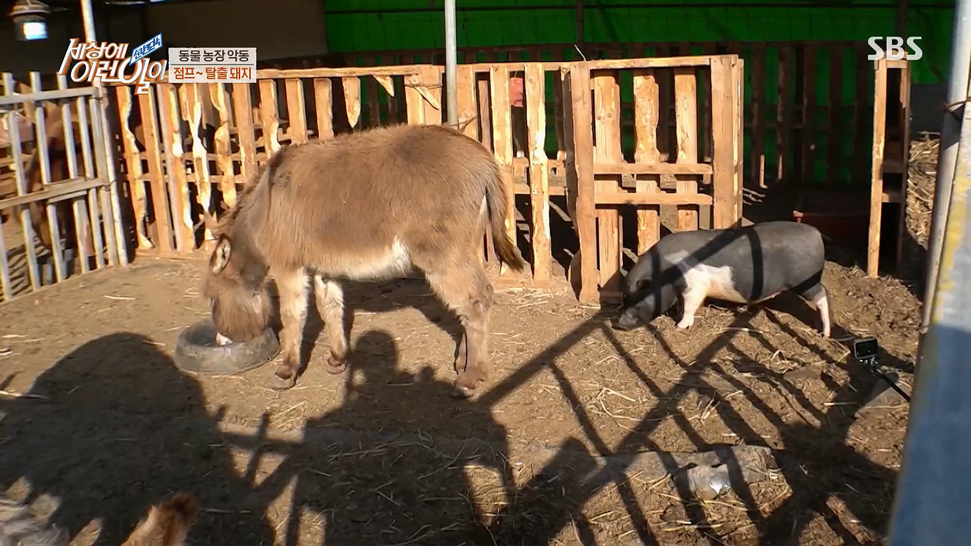 순간포착 세상에 이런일이.E1221.230314p.H264-F1RST.mp4_20230315_141006.694.jpg