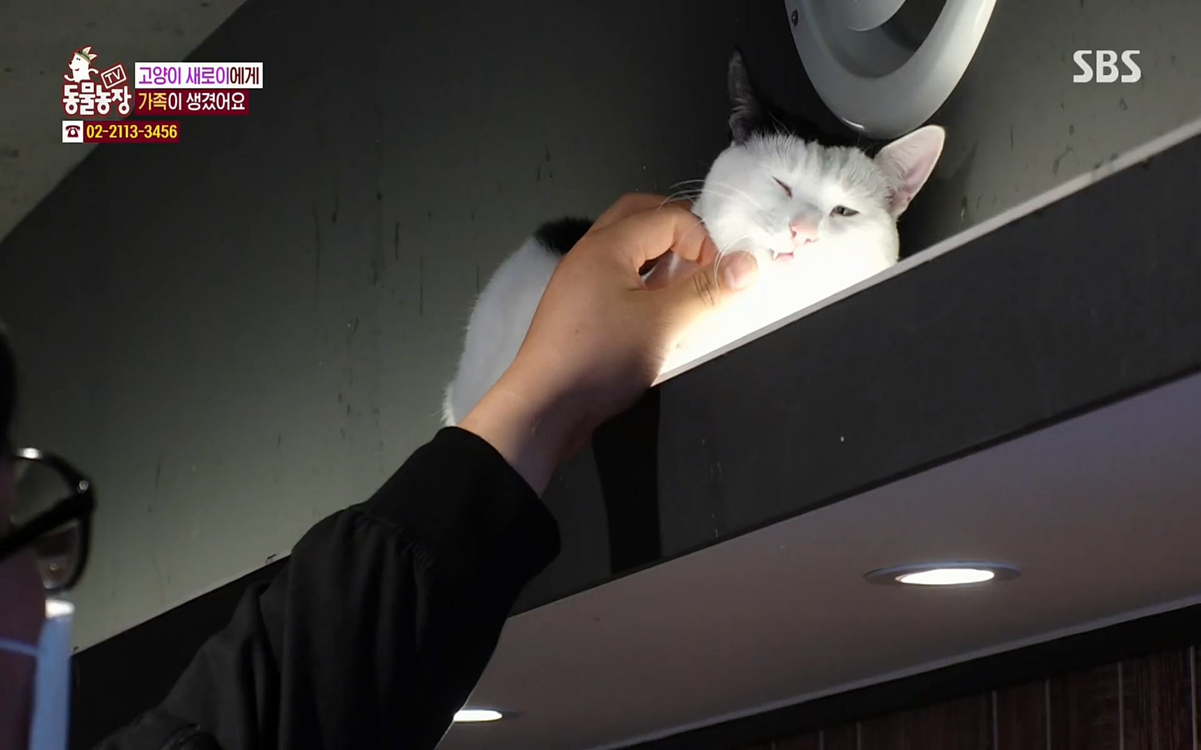 TV 동물농장.E1066.220424p.H264-F1RST.mp4_20220424_201031.290.jpg