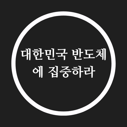  대한민국, 반도체 가격에 집중하라