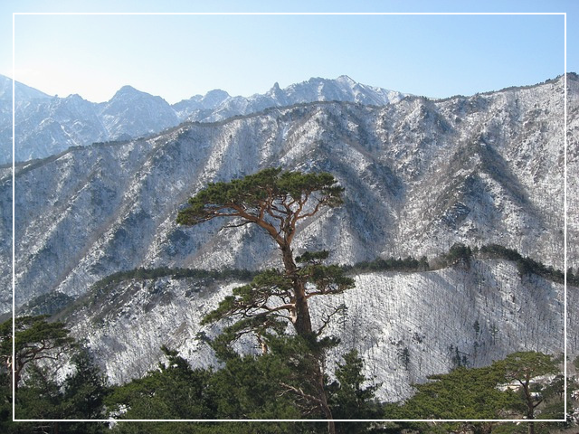 설악산 케이블카 운행시간_97