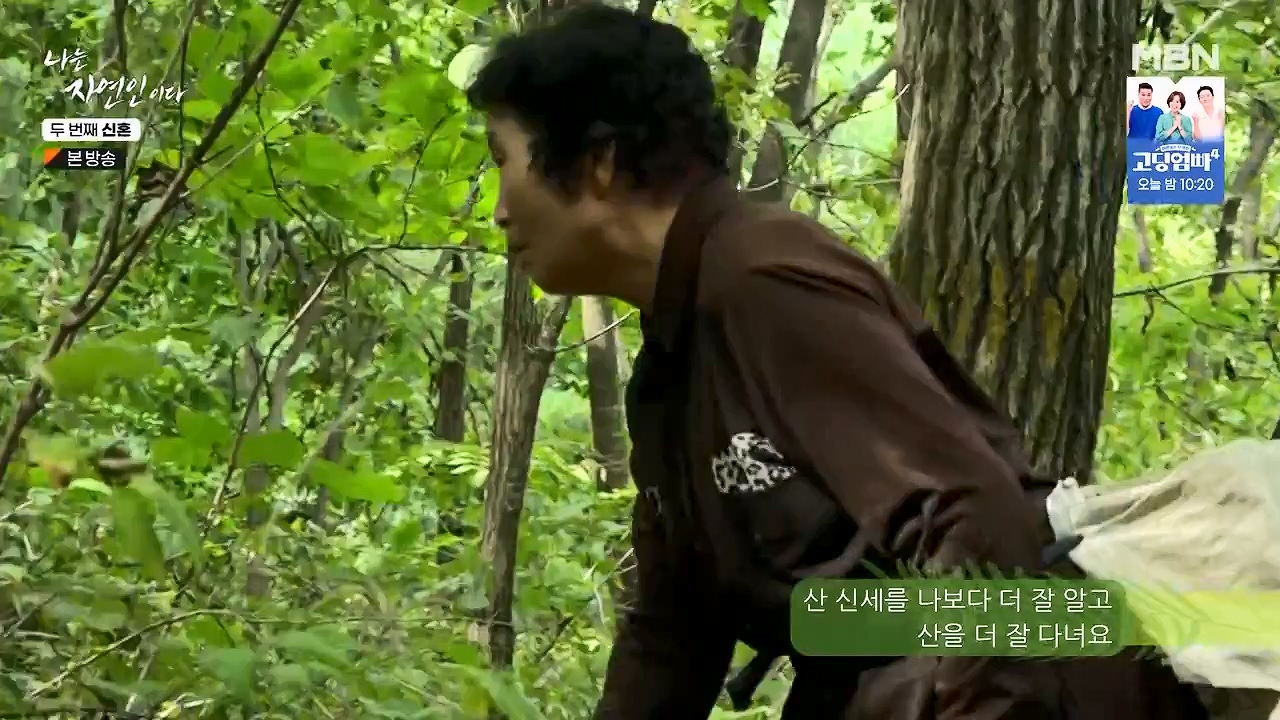 나는 자연인이다.E572.230921p-NEXT.mp4_20230921_202636.861.jpg
