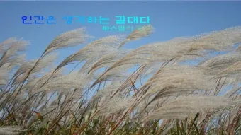 출렁이는 숲의 전설 미스터리_33