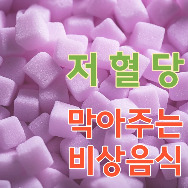 저혈당 대비 비상 식품