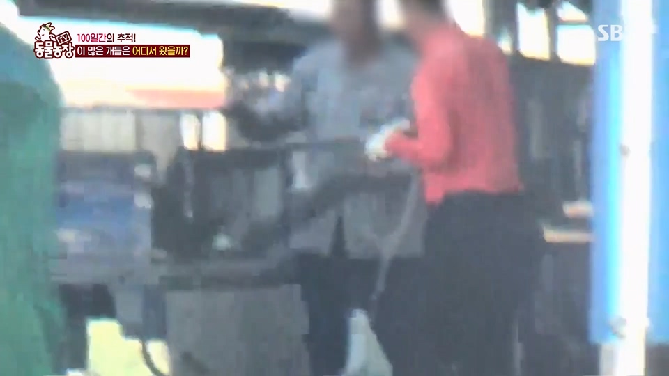 TV 동물농장.E1129.230716p.H264-F1RST.mp4_20230716_183641.317.jpg