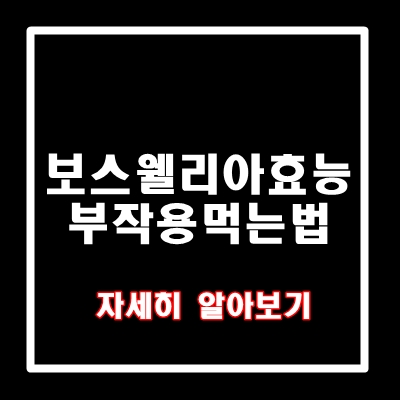 보스웰리아 효능 부작용 분말 추천 먹는방법