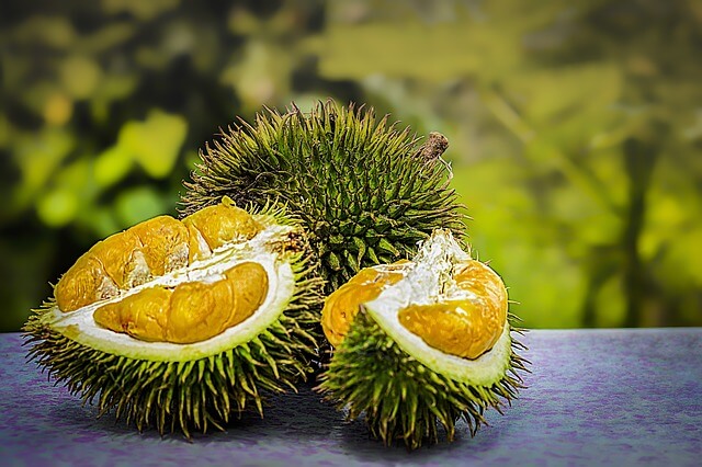  두리안 효능, 두리안 부작용, 두리안 칼로리