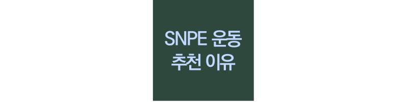 snpe-운동-추천