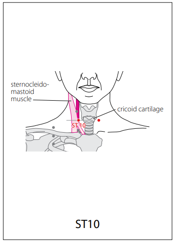 족양명위경 (ST) > ST10 수돌 (水突) 1