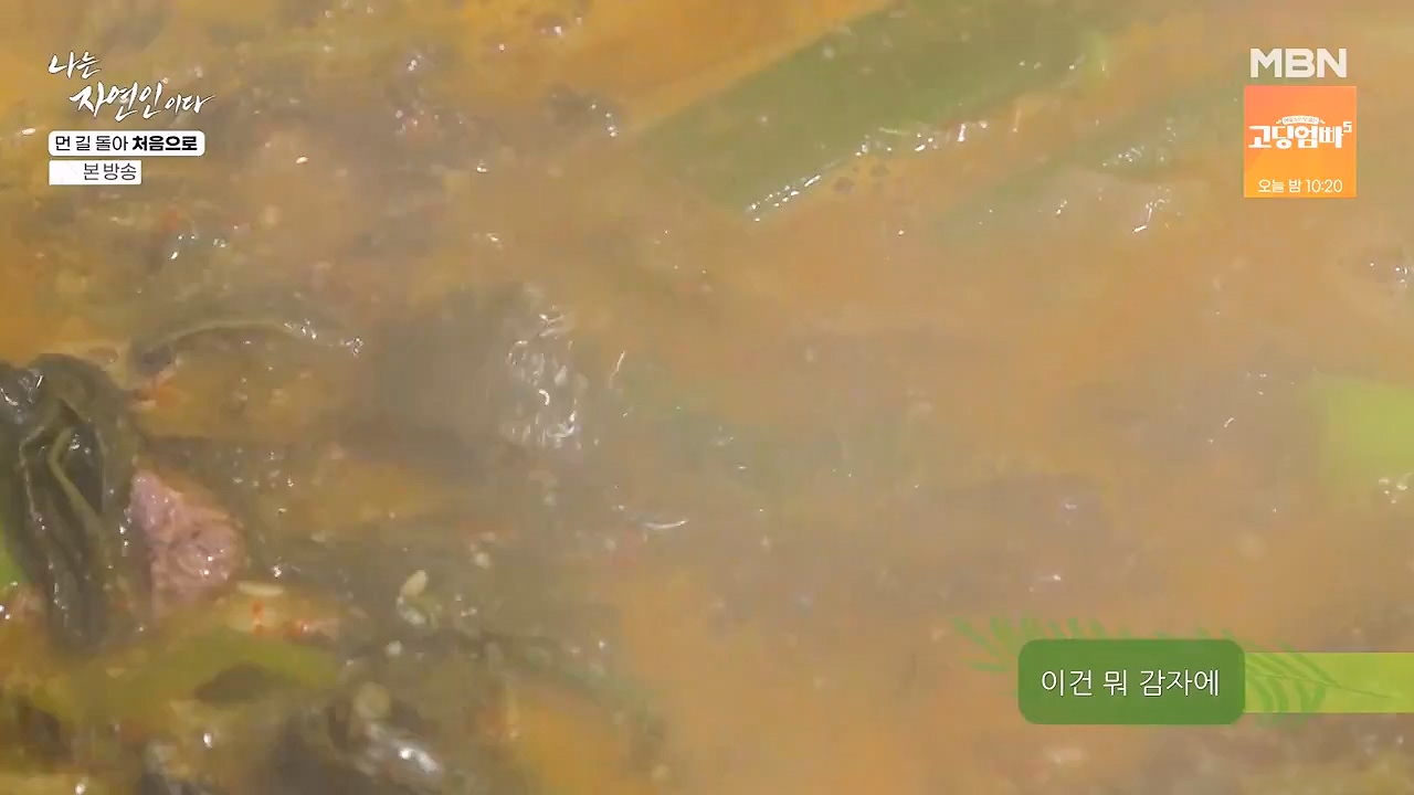 나는 자연인이다.E612.240704p-NEXT.mp4_20240704_195022.619.jpg