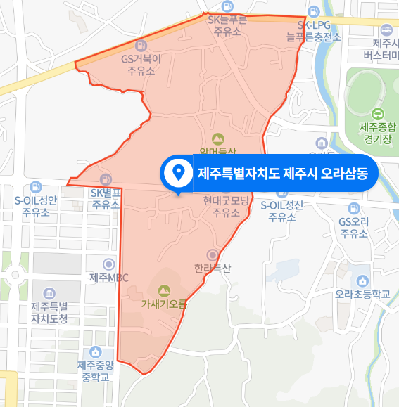  제주 오라삼동 연삼로 뺑소니 사망사건 (2020년 11월 29일)