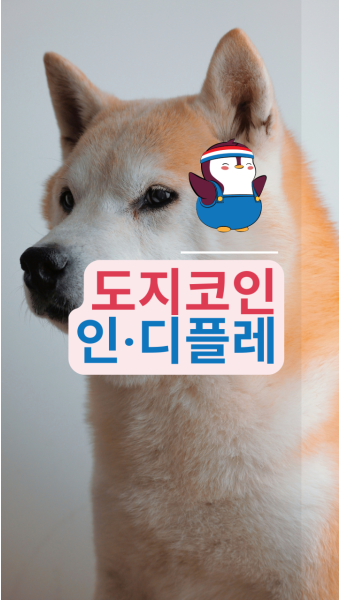 코인 이미지