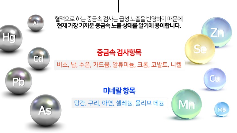 혈액에 혈액 중금속 검사,미네랄 11