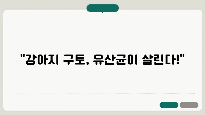 유산균의 면역력 강화