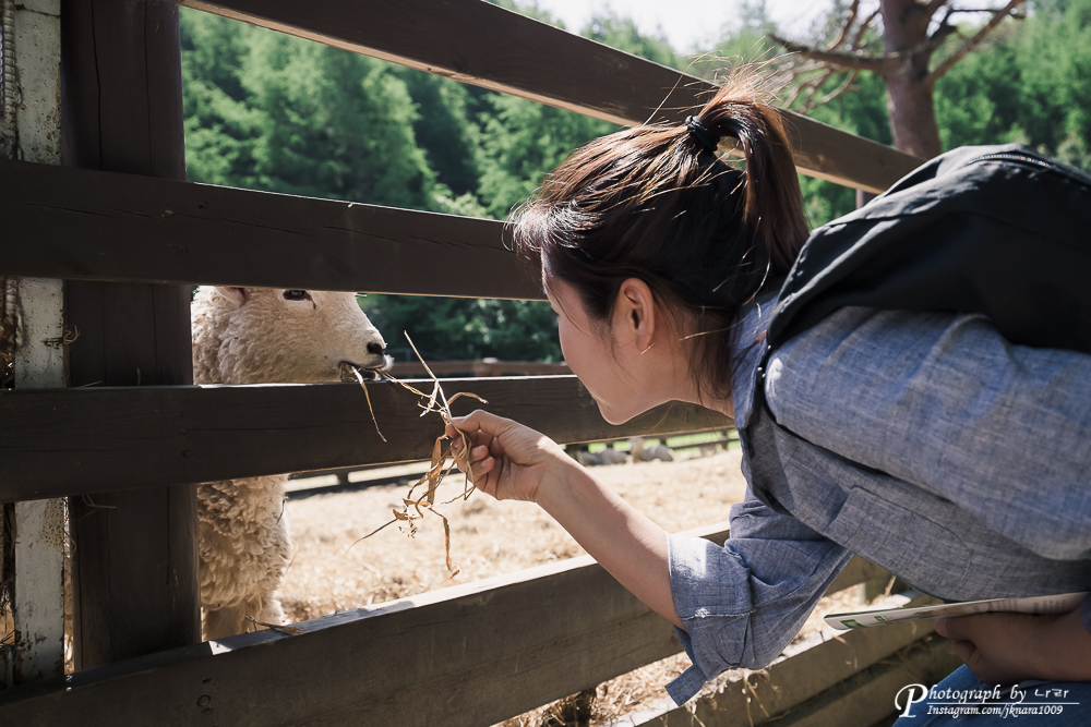  1박 2일 강원도 여행(삼양목장+강릉+월정사)