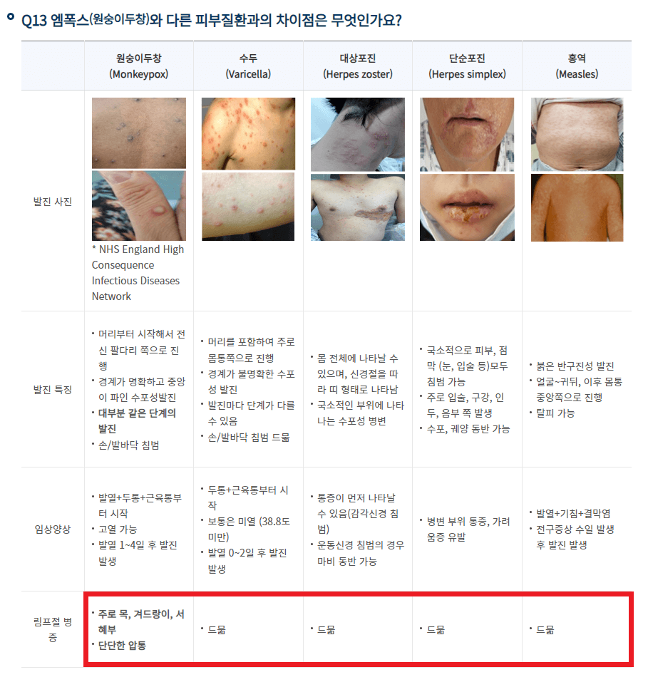 Mpox 원인 감염 경로 증상 감염 부위