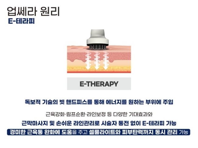 쎄라 이미지