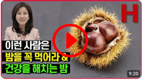 밤을 꼭 먹어야 하는 이유 & 밤 먹으면 안 되는 사람 가을제철 밤 총정리!