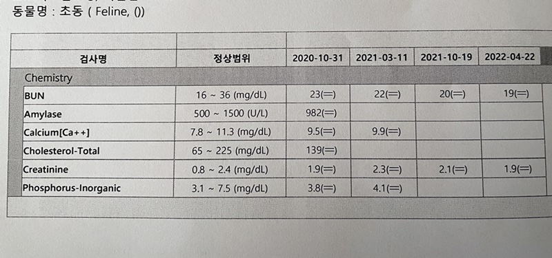 하이얀 이미지